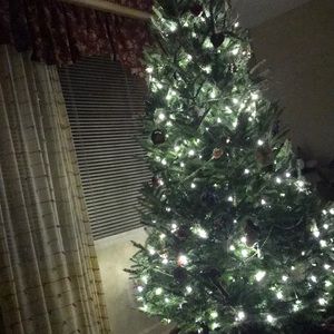 Meet your Posher, Evelyn